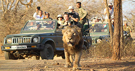 book a cab from ahmedabad to gir